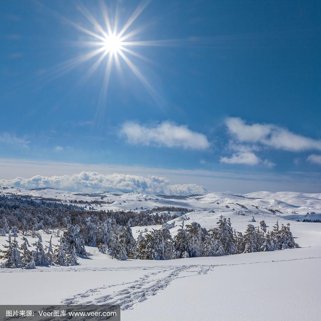 冬季雪地陽(yáng)光下的閃耀瞬間