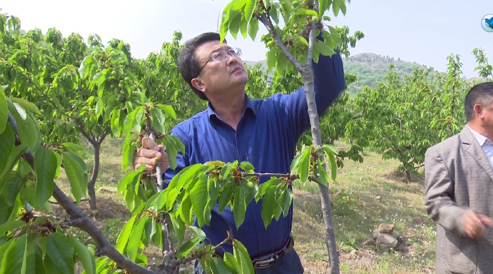 智能農業(yè)實現(xiàn)精準灌溉與施肥的技術探討