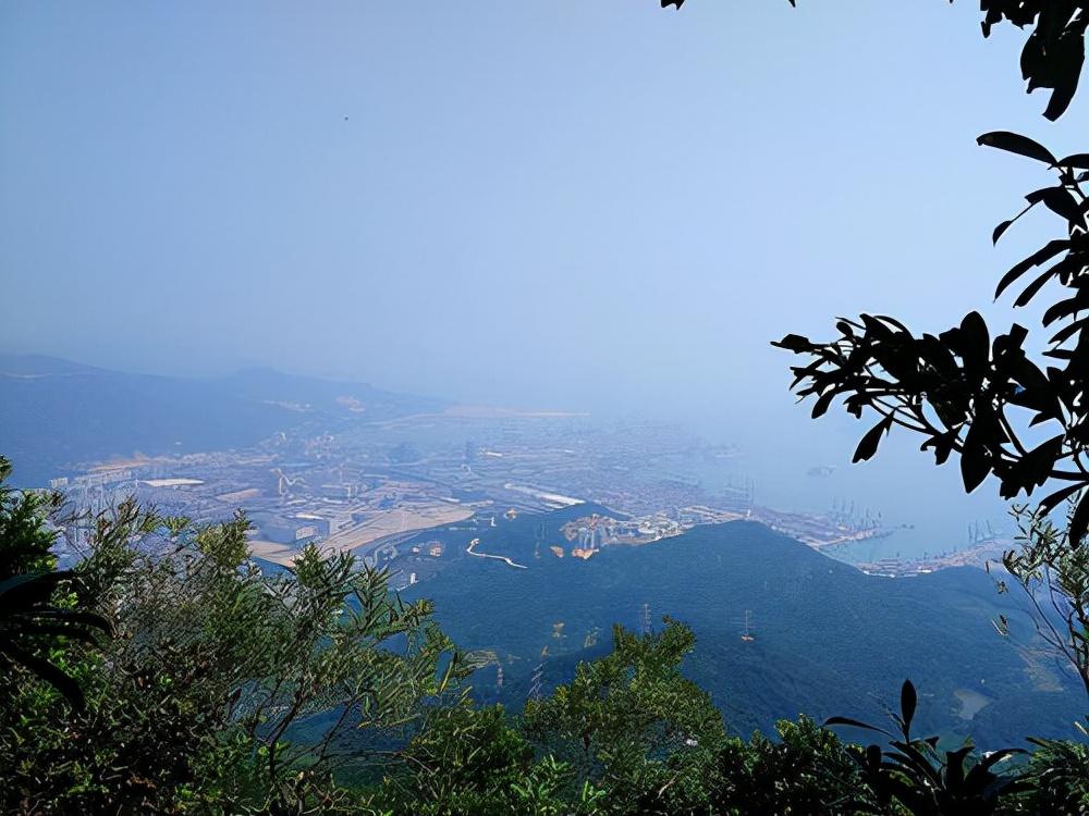 探訪世界最古老的動(dòng)植物園，領(lǐng)略自然奇景的魅力