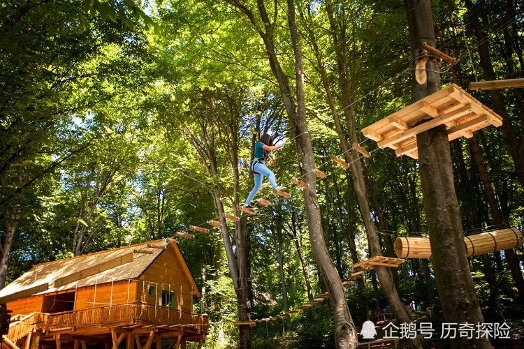 叢林探險揭秘，世界最神秘森林的奇幻之旅