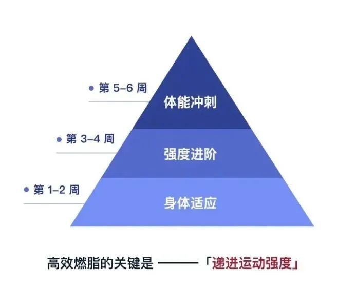 每日30分鐘運動，整體健康的秘訣之道