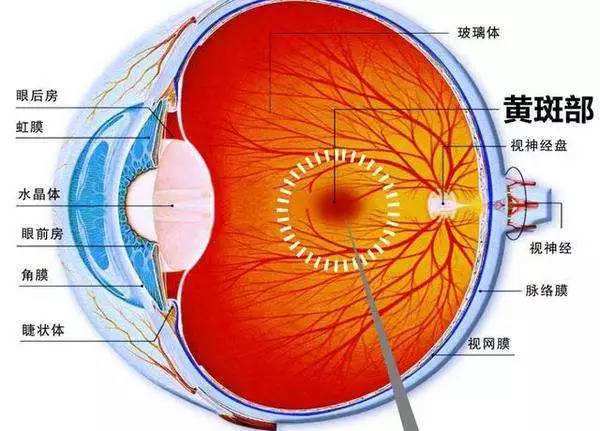 限制屏幕時(shí)間保護(hù)眼部健康的重要性