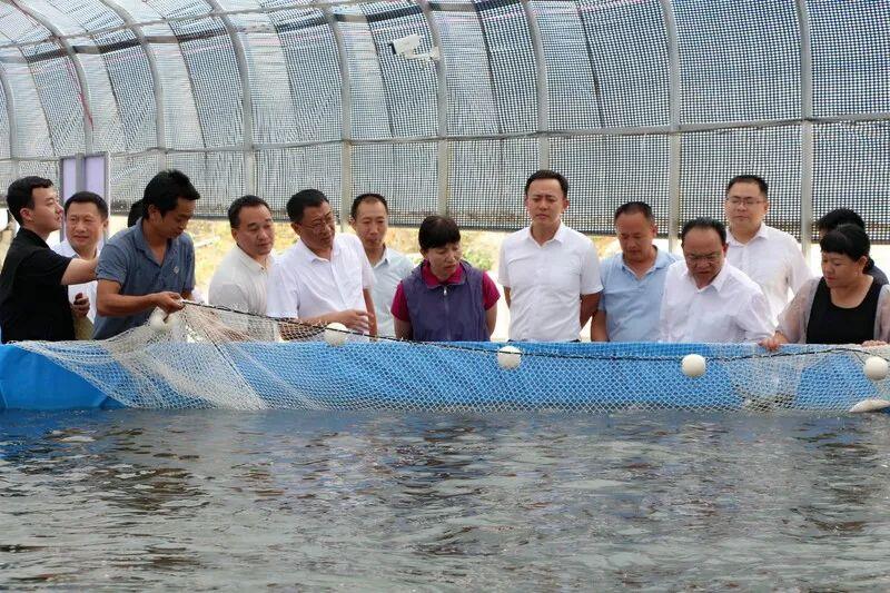 哈尼梯田民居的地域融合與生活智慧