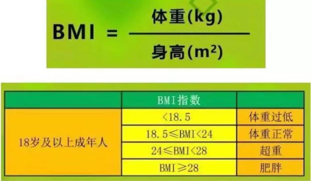 健康體重與長期身體機(jī)能平衡的研究探索