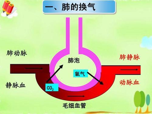 良好的心理適應(yīng)能力與免疫力關(guān)系