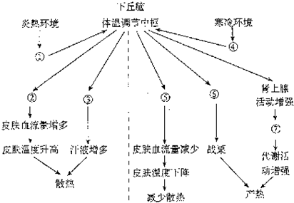 自然環(huán)境運(yùn)動(dòng)，心理與生理的雙重調(diào)節(jié)之道